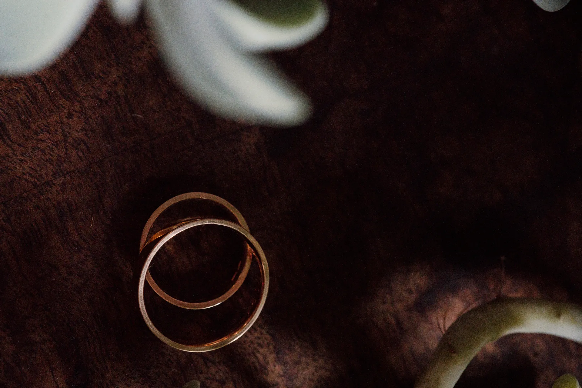 Fotografa di matrimoni intimi