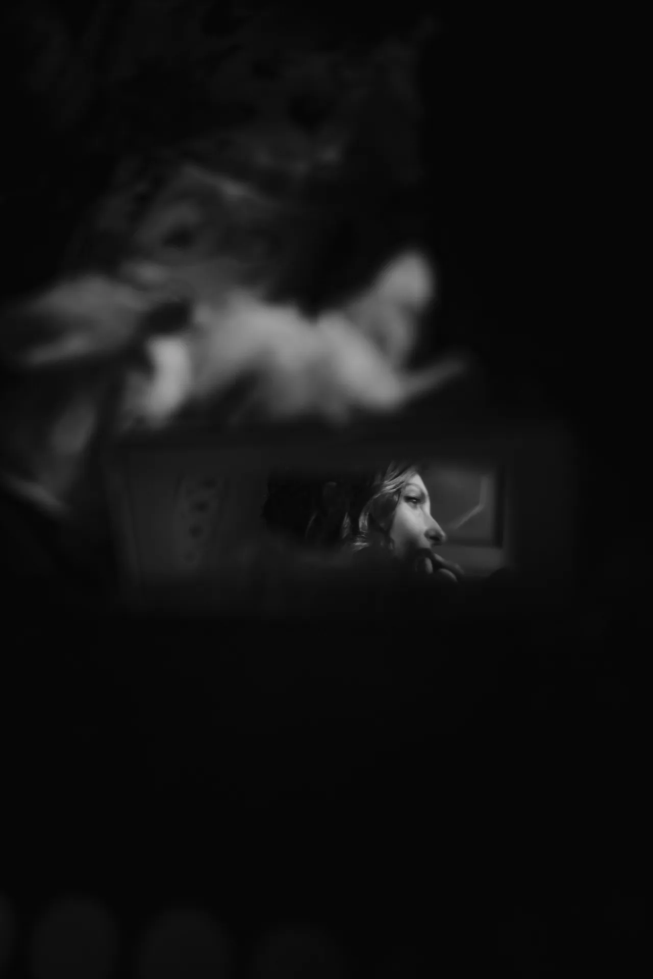 Fotografa di matrimoni intimi